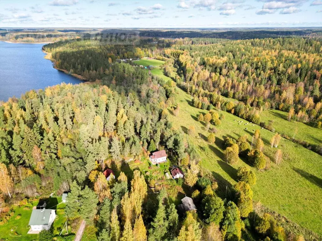 Дом в Санкт-Петербург, Санкт-Петербург, Сестрорецк ул. ... - Фото 1