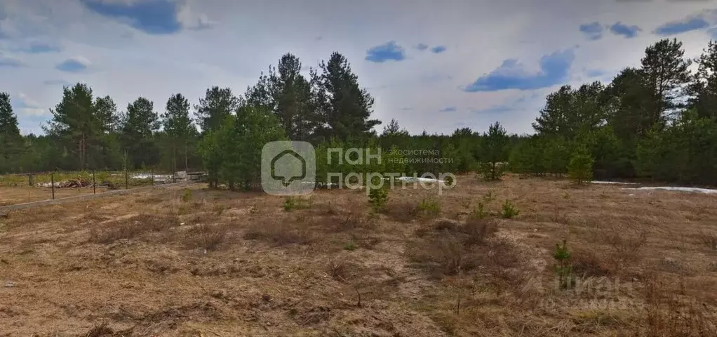 Участок в Ленинградская область, Лодейное поле ул. ... - Фото 2