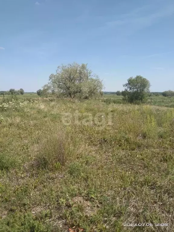 Участок в Тюменская область, Ишимский район, с. Гагарино ул. Мира ... - Фото 0