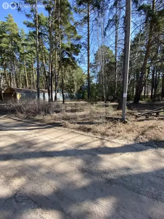 Участок в Курганская область, Кетовский муниципальный округ, деревня ... - Фото 2