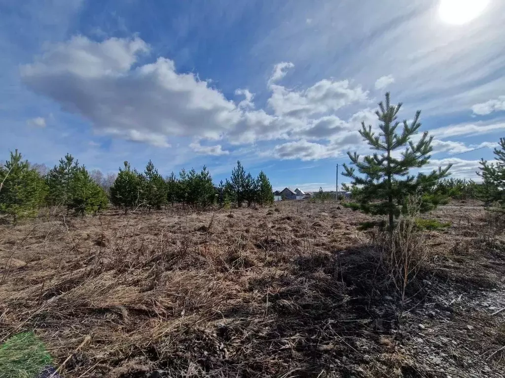 Участок в Свердловская область, Екатеринбург Аэродром ДНП, пер. ... - Фото 2