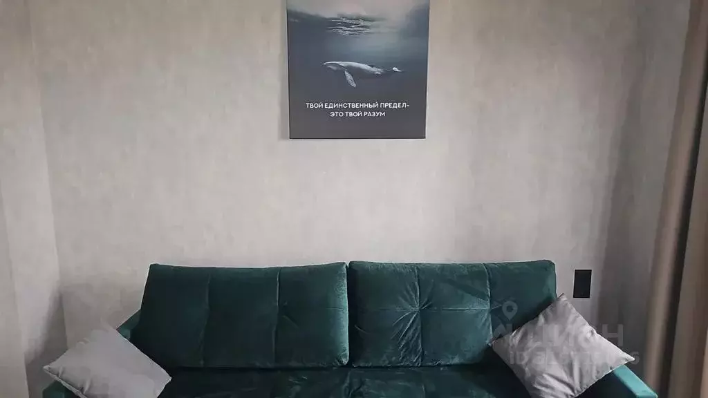 1-к кв. Псковская область, Псковский район, Завеличенская волость, д. ... - Фото 1