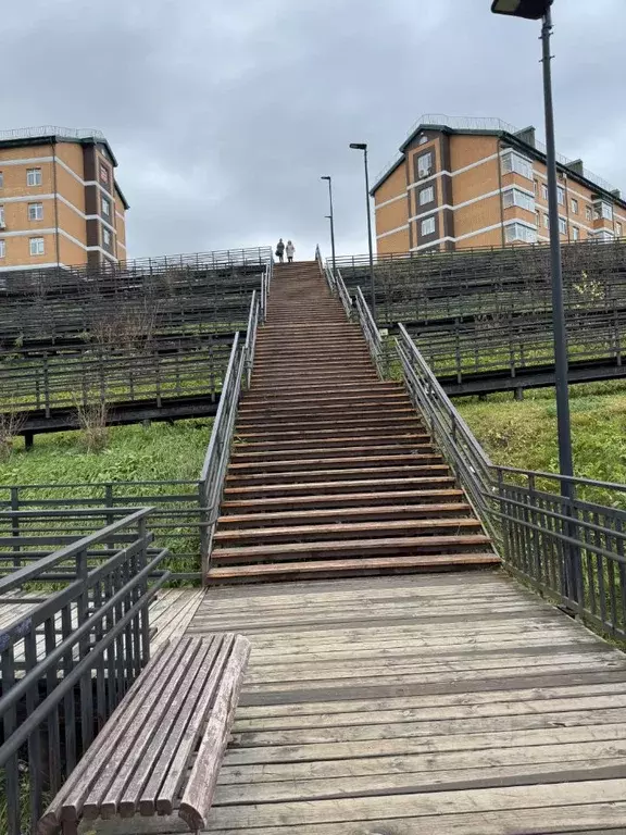 1-к кв. Москва д. Марьино, ул. Жемчужная, 1к3 (29.2 м) - Фото 2