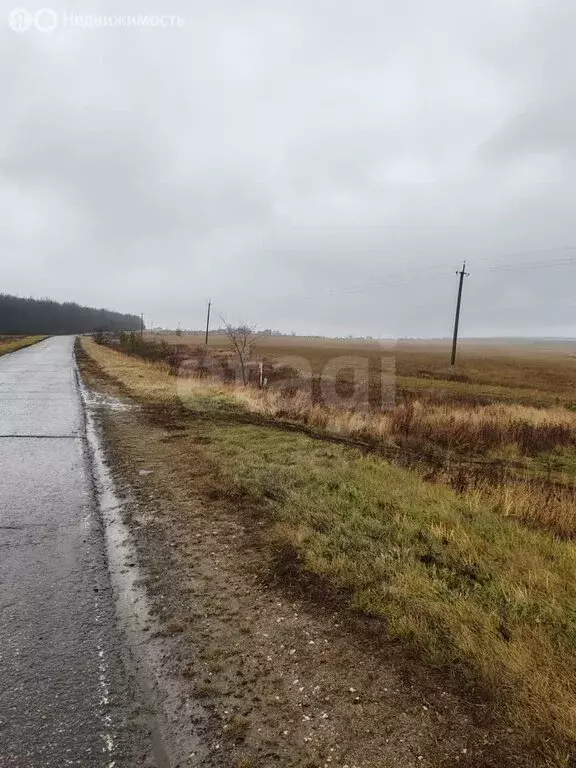 Участок в село Пермиси, Московская улица (15 м) - Фото 0