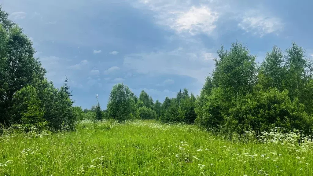 Участок в Московская область, Дмитровский муниципальный округ, д. ... - Фото 1