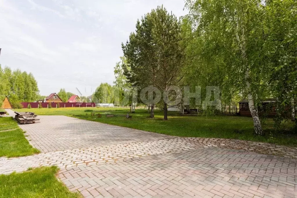 Участок в Новосибирская область, Коченевский район, Витязь садовое ... - Фото 2