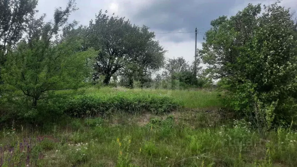Участок в Белгородская область, Белгородский район, Ериковское с/пос, ... - Фото 0