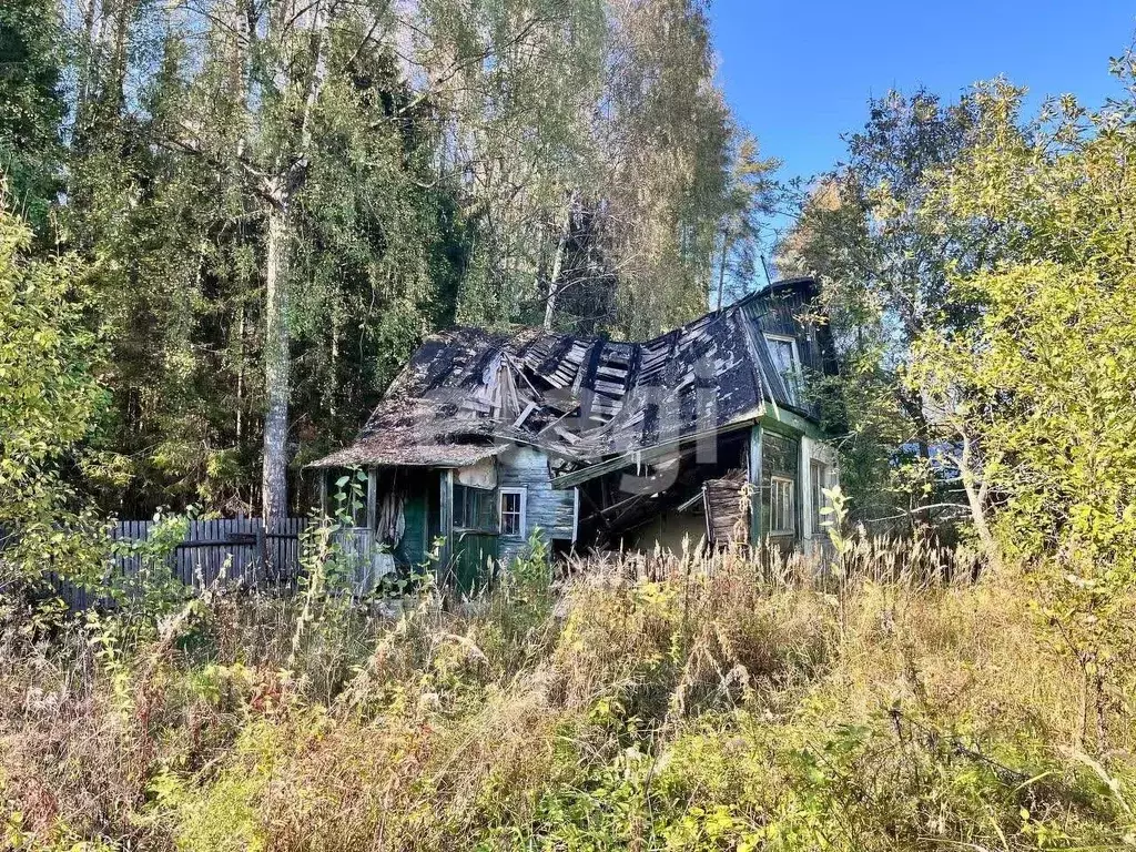 Участок в Костромская область, Костромской район, Самсоновское с/пос, ... - Фото 2