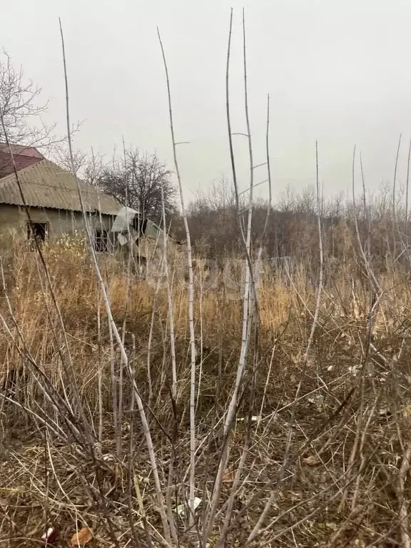 Участок в Белгородская область, Старый Оскол ул. Ленина (15.0 сот.) - Фото 1