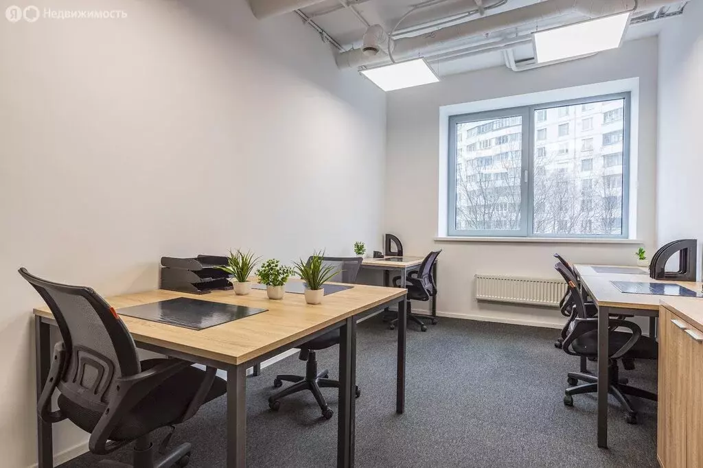 Офис (20 м) - Фото 2