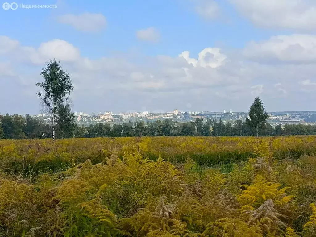 Участок в Тульская область, городской округ Тула, село Осиновая Гора ... - Фото 1