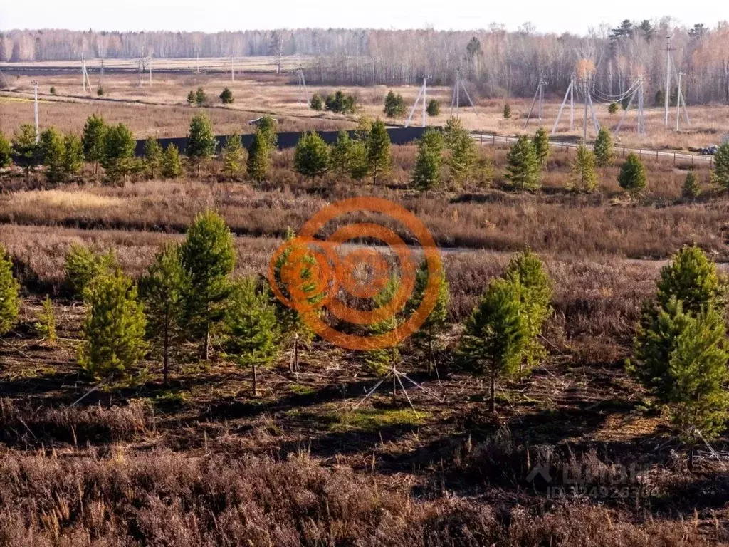Участок в Тюменская область, Тюменский муниципальный округ, д. Зырянка ... - Фото 2
