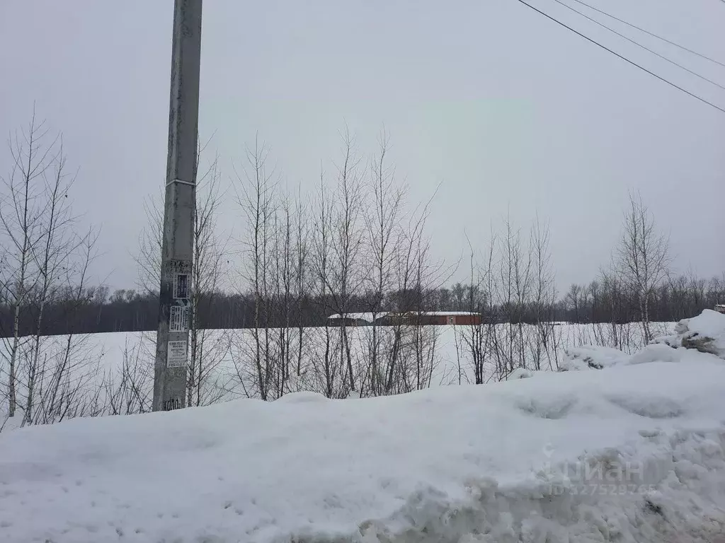 Участок в Московская область, Раменский муниципальный округ, с. ... - Фото 2