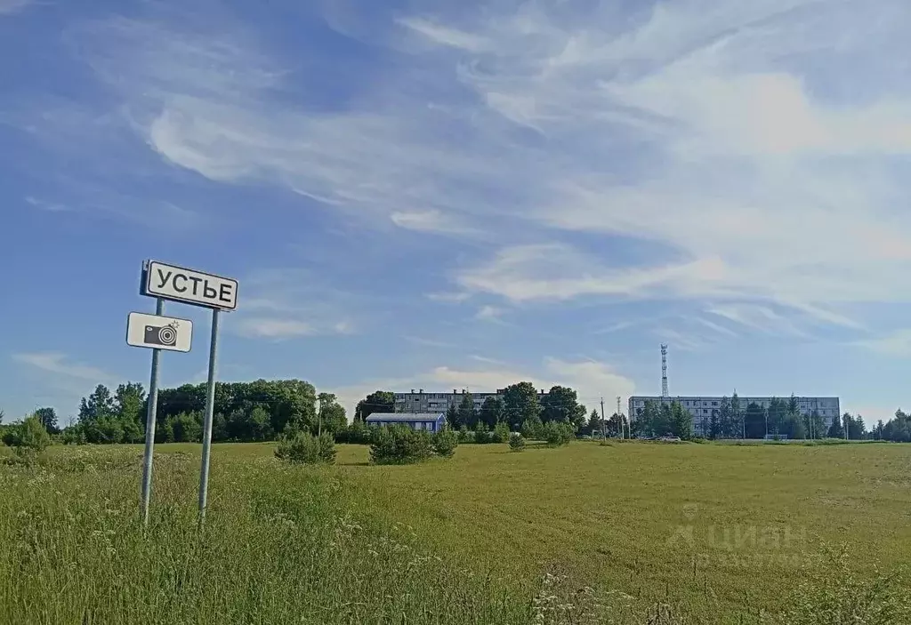 Участок в Московская область, Наро-Фоминский городской округ, д. Устье ... - Фото 1