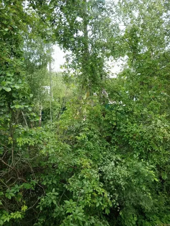 Участок в Калужская область, Дзержинский муниципальный округ, Совхоз ... - Фото 1