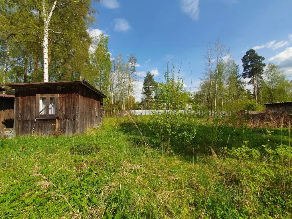 Участок в Ленинградская область, Гатчинский муниципальный округ, ... - Фото 2