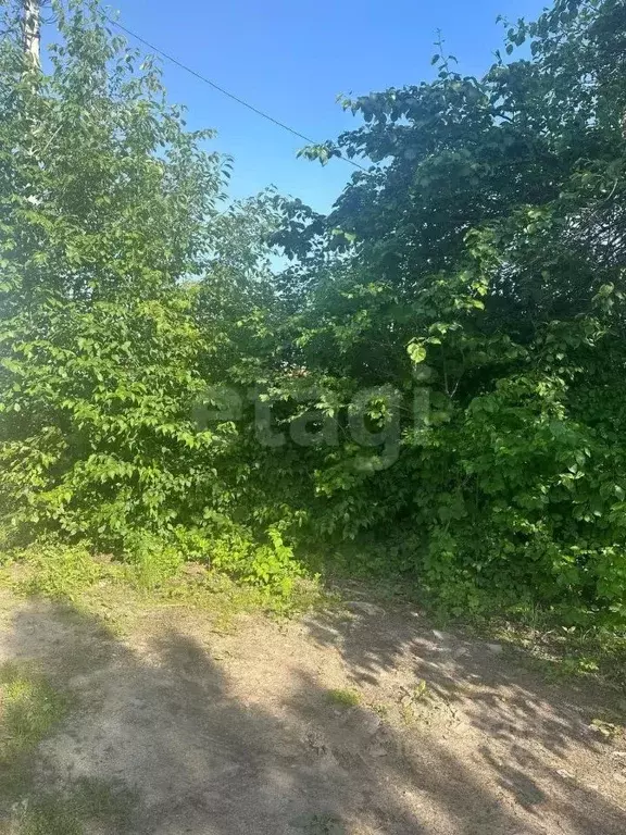 Участок в Амурская область, Благовещенск Мечта СНТ,  (10.0 сот.) - Фото 1