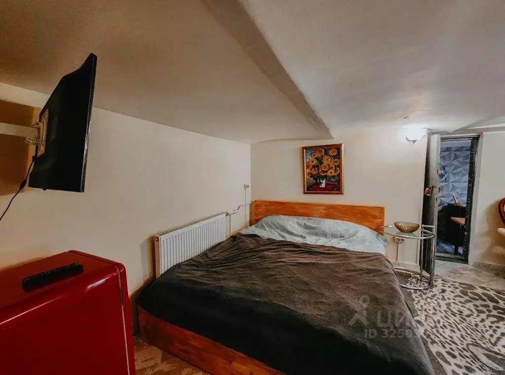 2-к кв. Санкт-Петербург Мытнинская наб., 3 (29.0 м) - Фото 1