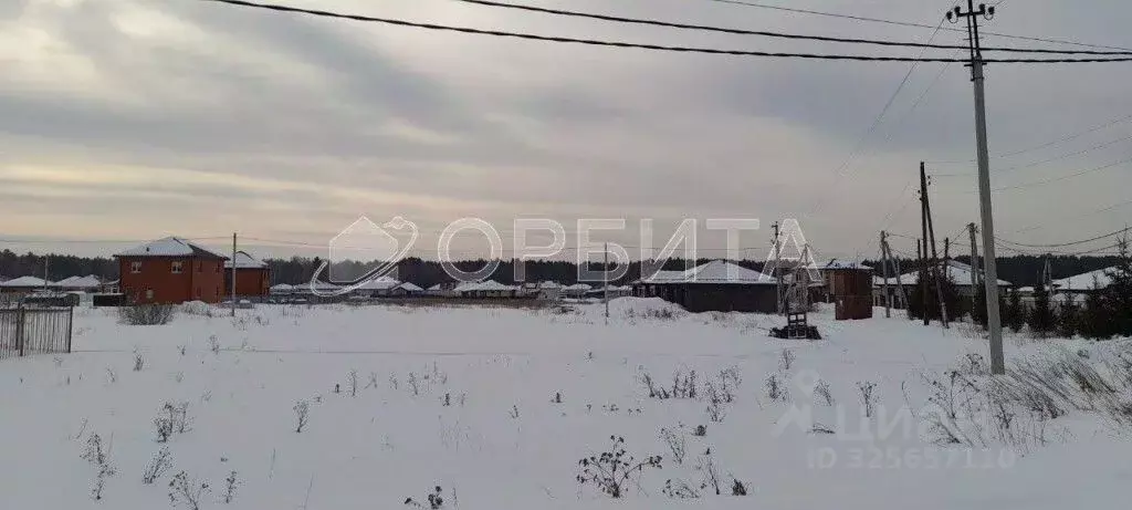 Участок в Тюменская область, Тюменский муниципальный округ, с. ... - Фото 2