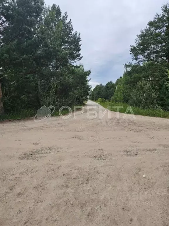 Участок в Тюменская область, Тюменский муниципальный округ, д. Якуши ... - Фото 2