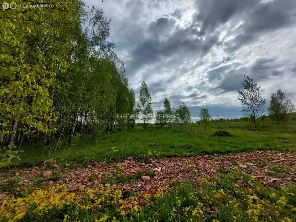 Участок в Москва, ТАО, Краснопахорский район, деревня Сатино-Татарское ... - Фото 0