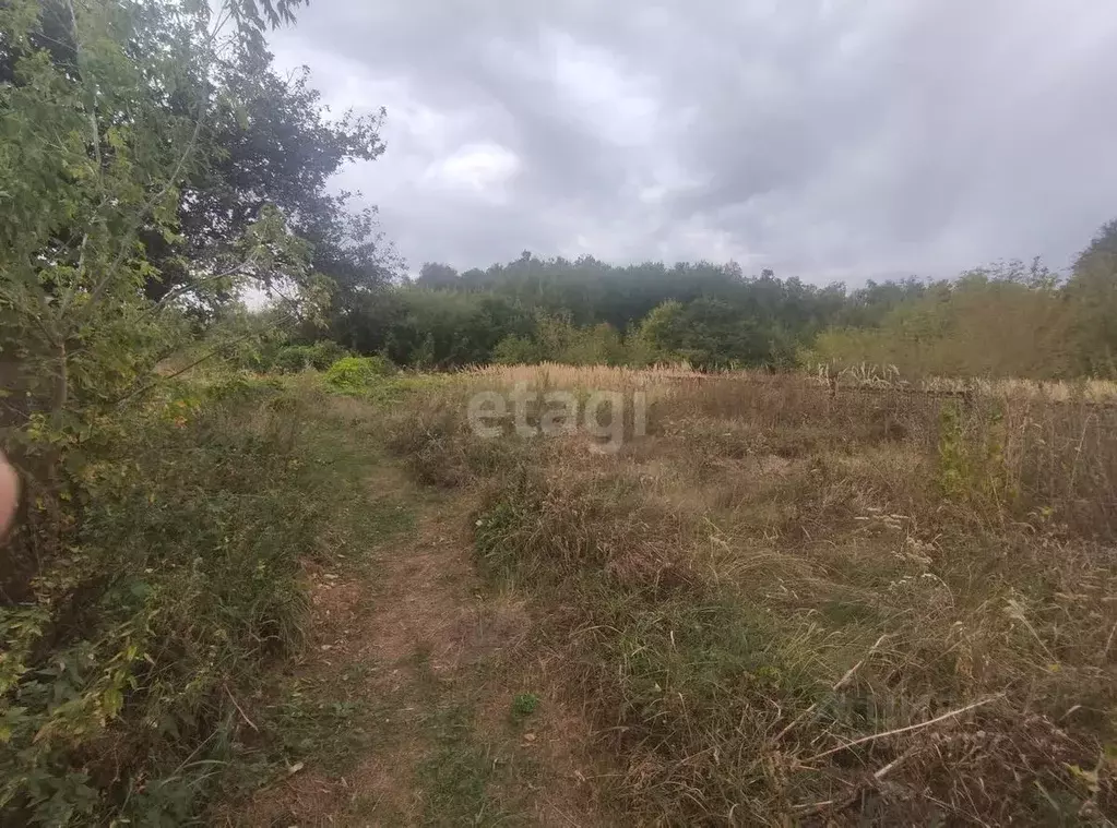 Участок в Белгородская область, Старооскольский городской округ, с. ... - Фото 1