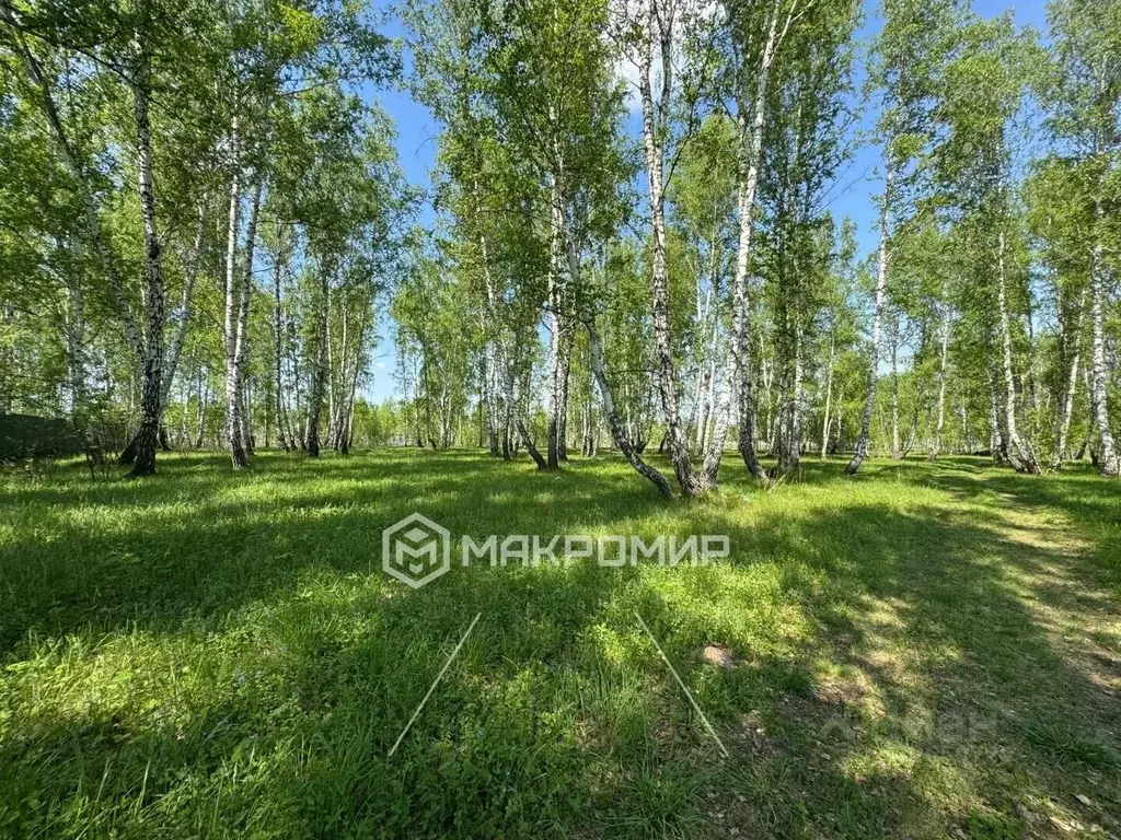 Участок в Челябинская область, Сосновский муниципальный округ, пос. ... - Фото 1