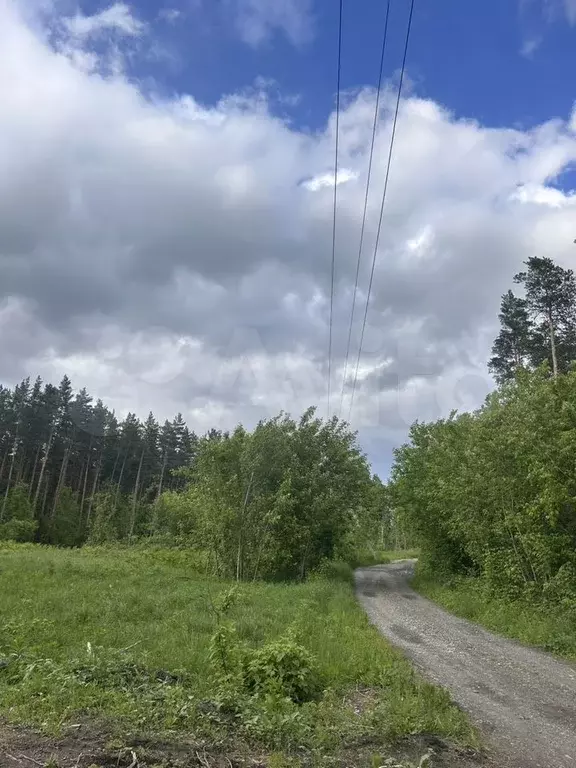 Участок 100 сот. (СНТ, ДНП) - Фото 0