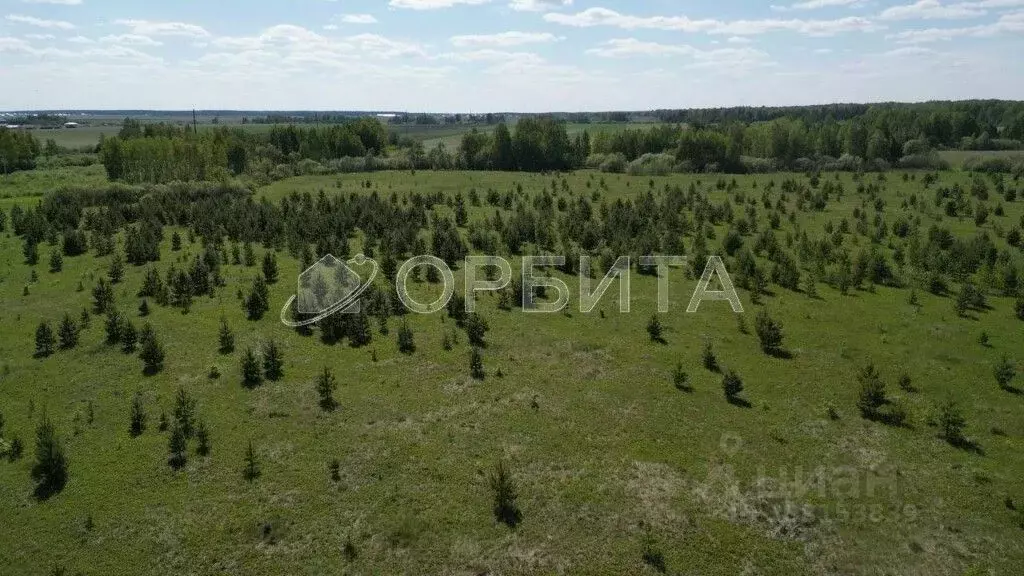 Участок в Тюменская область, Тюменский район, д. Елань  (8.17 сот.) - Фото 0