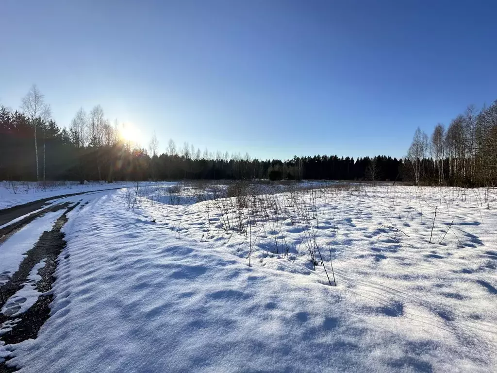 Участок в Новгородская область, Новгородский район, Савинское с/пос, ... - Фото 1