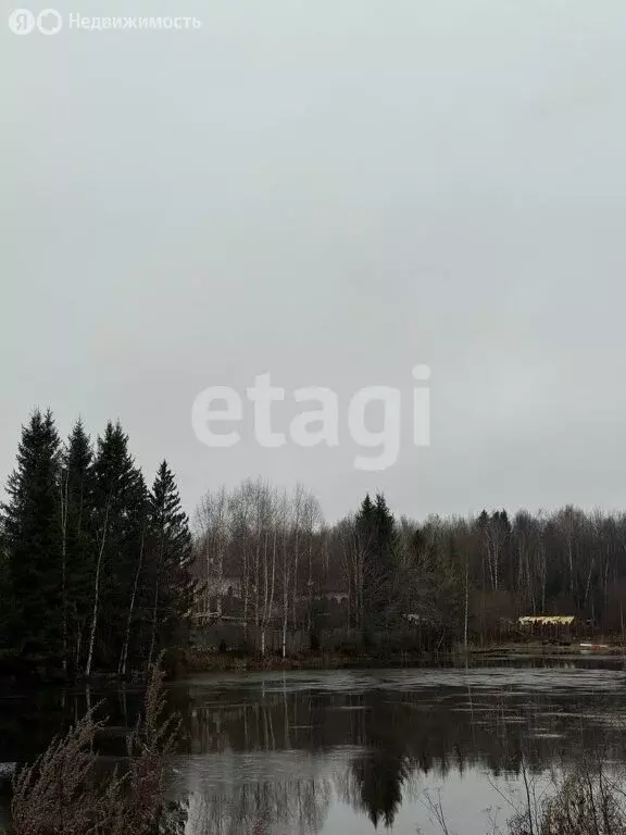 Участок в Пермский край, Краснокамский муниципальный округ, СТ ... - Фото 1