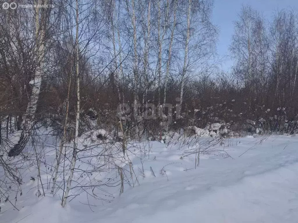 Участок в Курган, микрорайон Тополя (7.9 м) - Фото 2