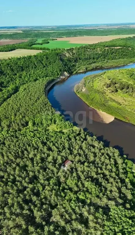 Участок в Амурская область, Серышевский муниципальный округ, с. ... - Фото 1