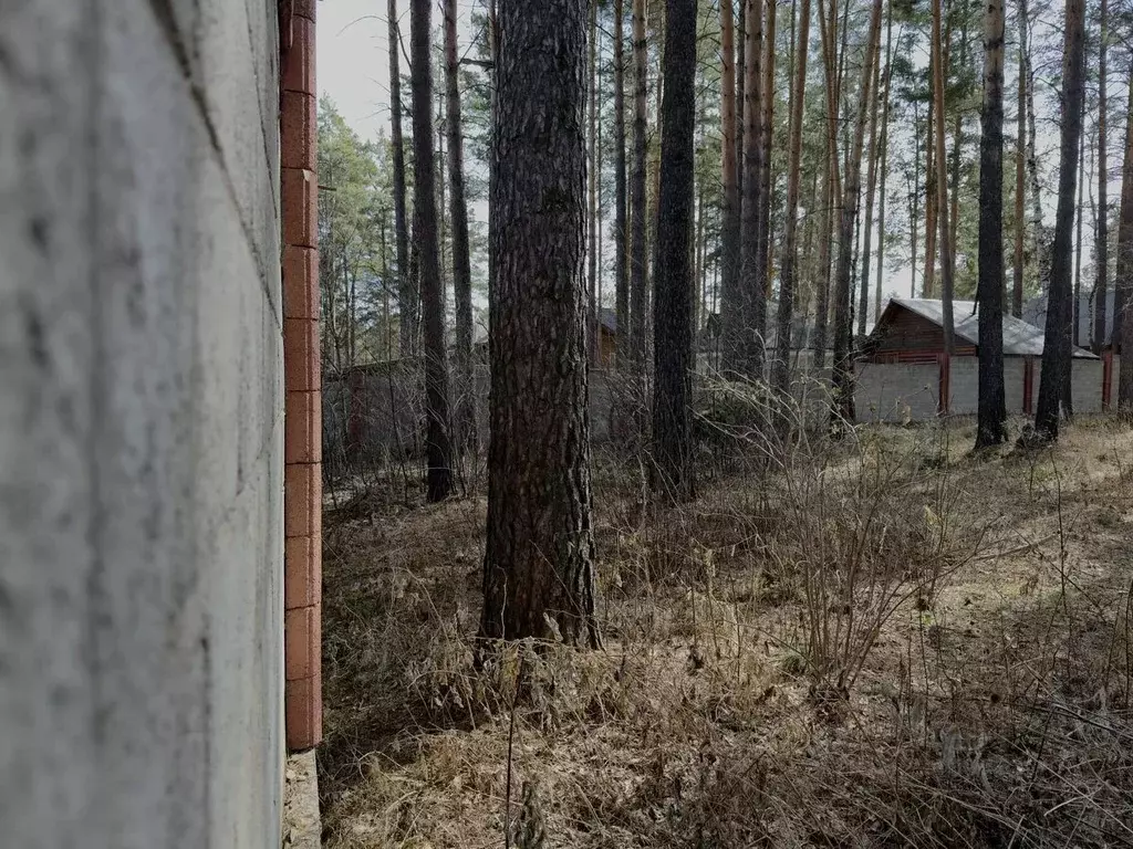 Участок в Иркутская область, Иркутский муниципальный округ, д. ... - Фото 2