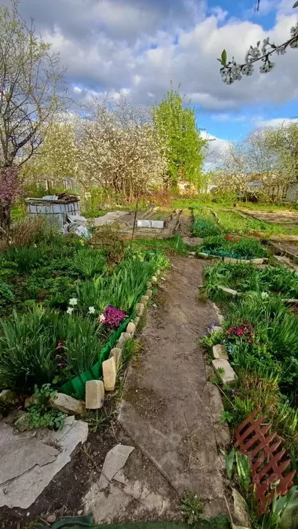 Участок в Нижегородская область, Бор Стеклозаводец СНТ, 352 (5.6 сот.) - Фото 1