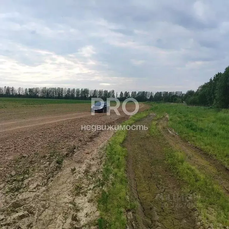 Участок в Ярославская область, Ярославский муниципальный округ, д. ... - Фото 2