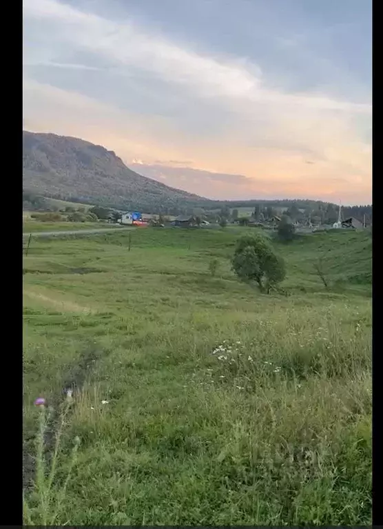 Участок в Алтай, Турочакский район, пос. Санькин-Аил ул. Центральная ... - Фото 1