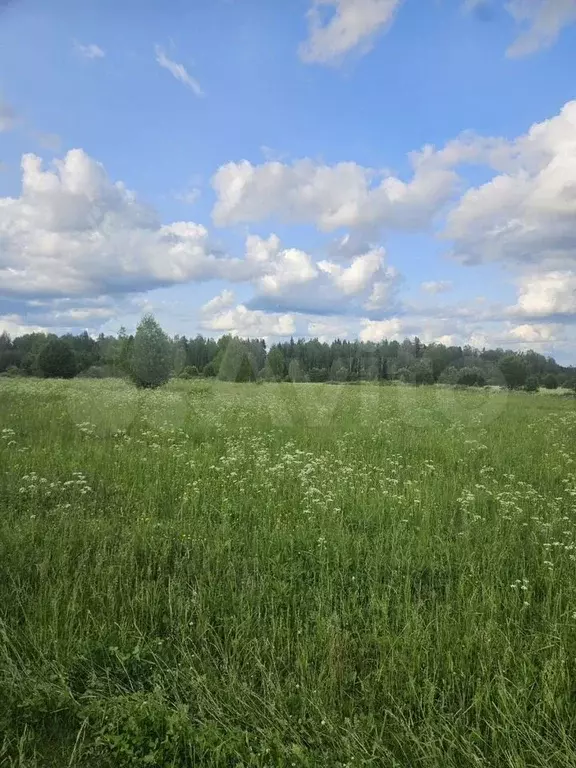 Участок 9,6 сот. (ИЖС) - Фото 1