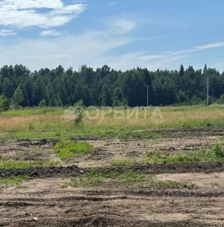 Участок в Тюменская область, Тюменский район, д. Елань  (8.18 сот.) - Фото 0