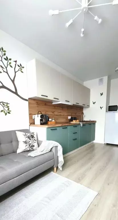 1-к кв. Свердловская область, Екатеринбург ул. Советская, 64/2 (35.0 ... - Фото 1