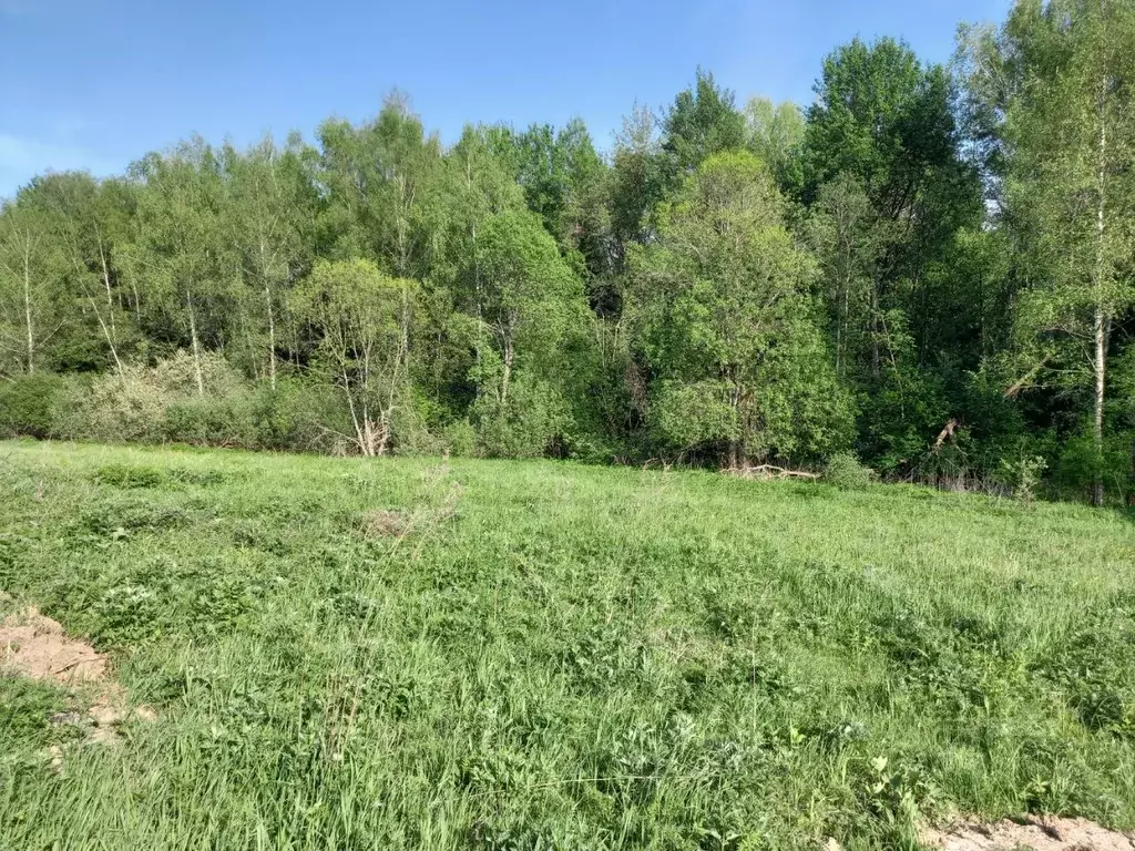 Участок в Московская область, Дмитровский муниципальный округ, д. ... - Фото 1