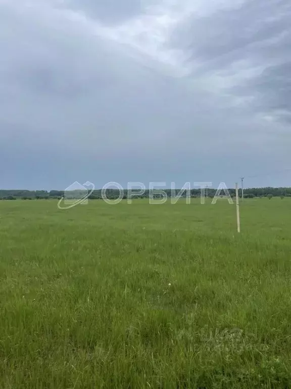 Участок в Тюменская область, Тюменский район, д. Коняшина  (4.42 сот.) - Фото 1