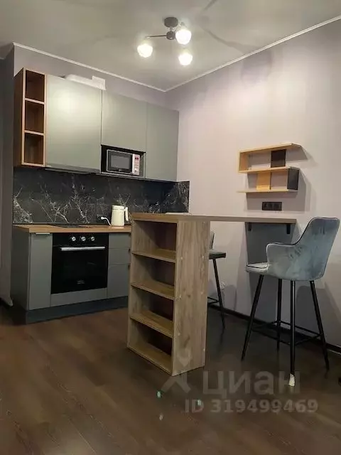 Студия Санкт-Петербург Светлановский просп., 8 (27.0 м) - Фото 0
