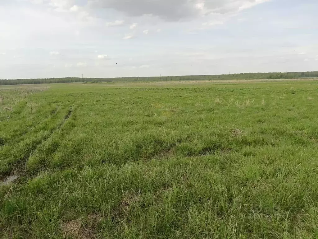 Участок в Московская область, Сергиево-Посадский городской округ, с. ... - Фото 2