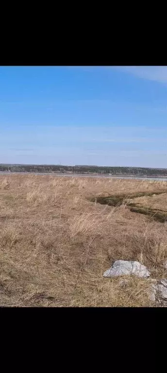 Участок в Новосибирская область, Искитимский район, Мичуринский ... - Фото 1