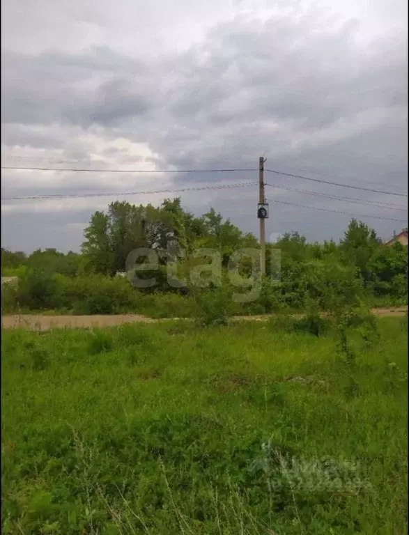 Участок в Саратовская область, Озинский район, с. Балаши  (15600.0 ... - Фото 2