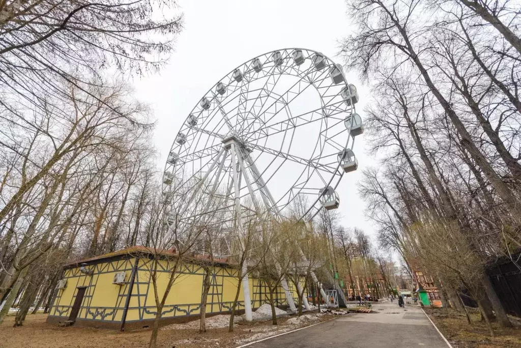 1-к кв. Пермский край, Пермь ул. Николая Островского, 93Б (60.0 м) - Фото 2