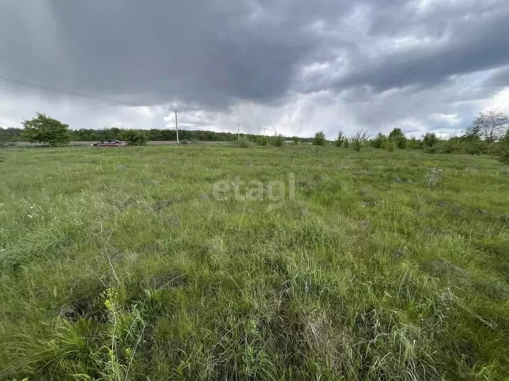 Участок в Воронежская область, Рамонский район, с. Русская Гвоздевка ... - Фото 0