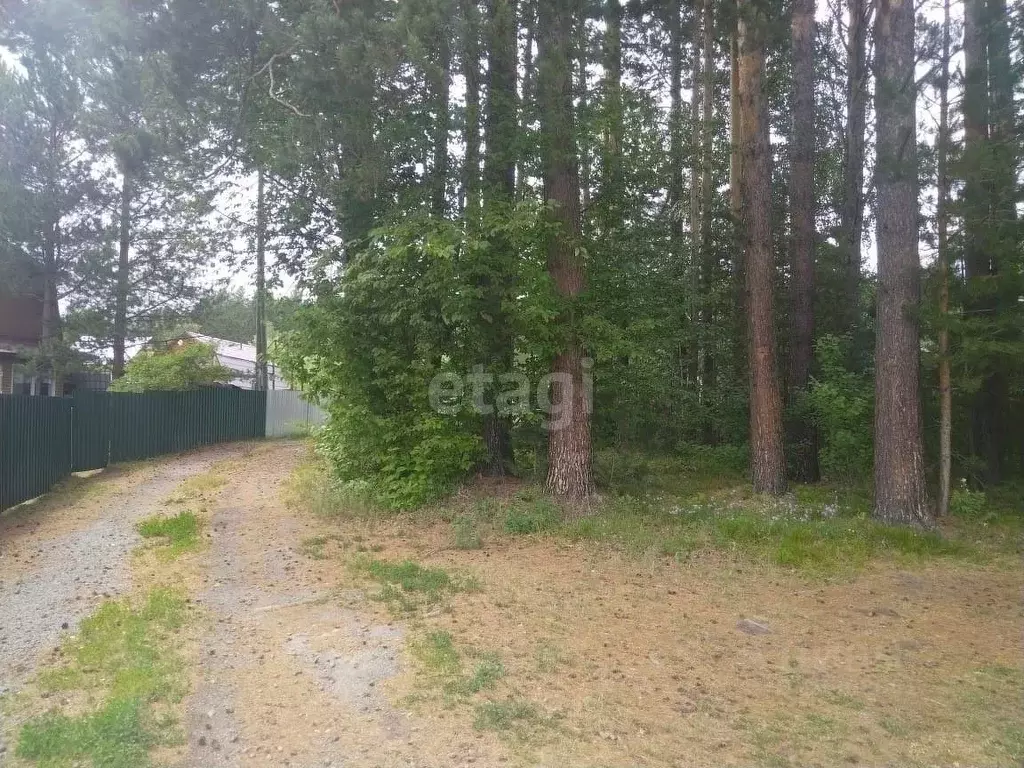 Участок в Томская область, Томский район, Лесная дача СНТ (6.6 сот.) - Фото 1
