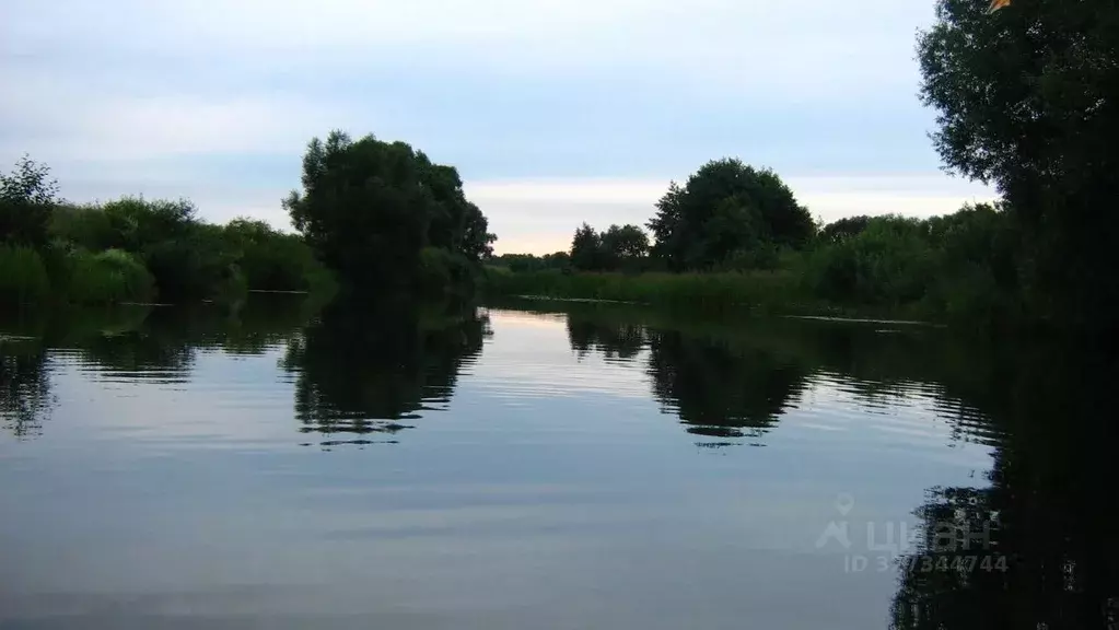 Участок в Рязанская область, Пронский муниципальный округ, д. Альютово ... - Фото 1